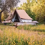Palare Роскошный шатер Монтоне