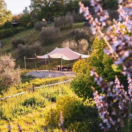 Palare Montone (Umbria)
