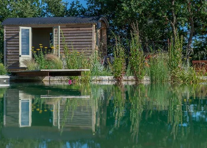 Palare Campo de lujo *